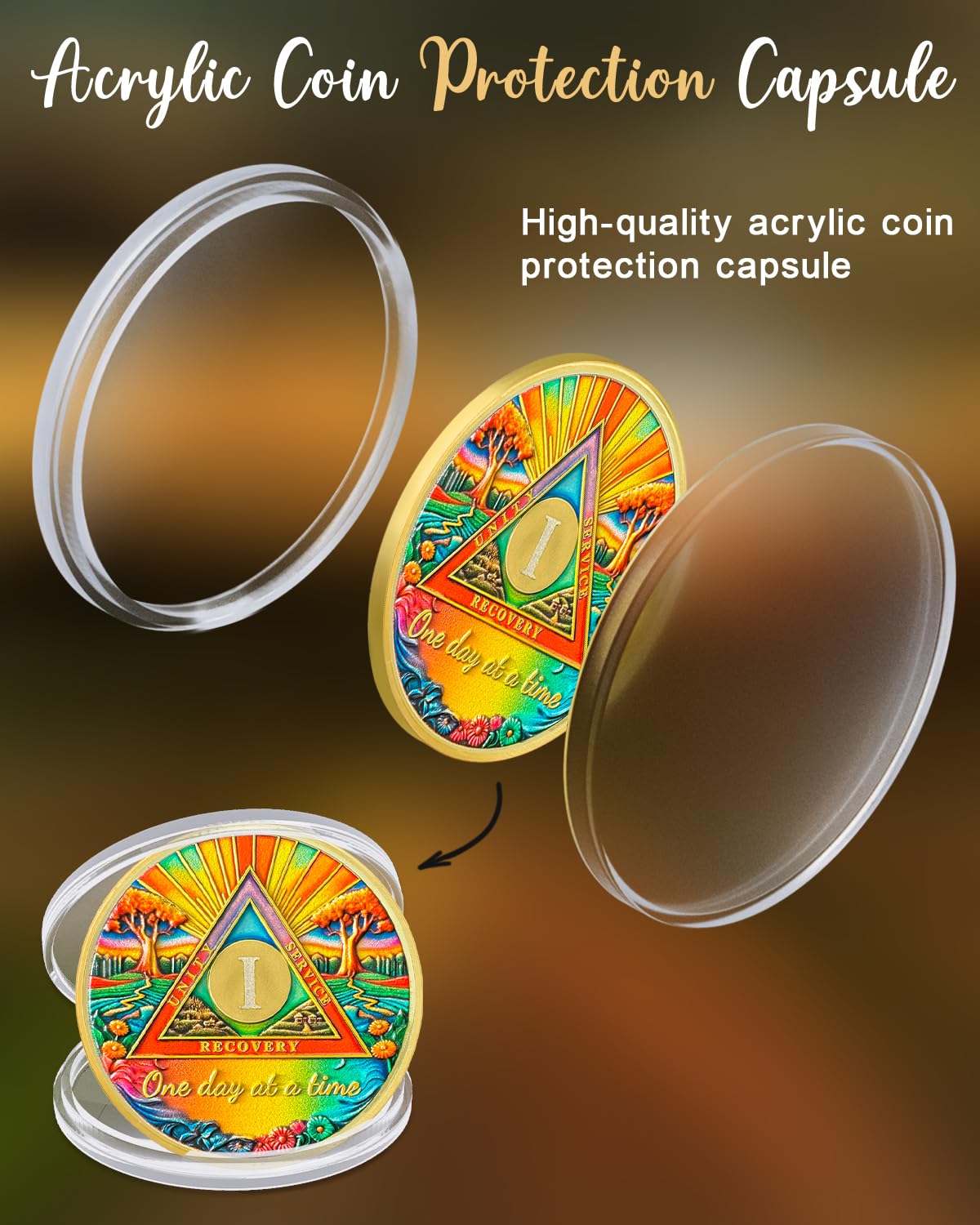 One Day at a Time Soberity Coin mysite