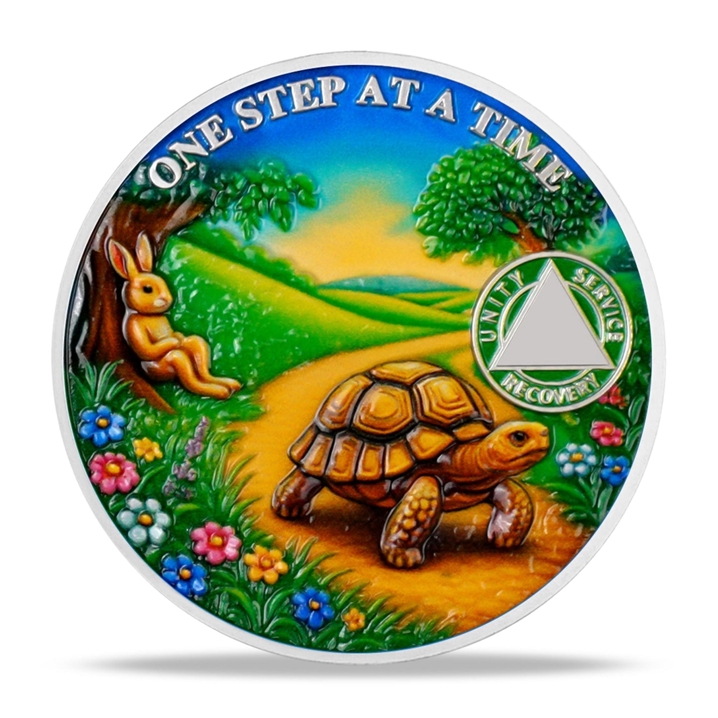 Personalized Slow and Steady Sobriety Coin mysite