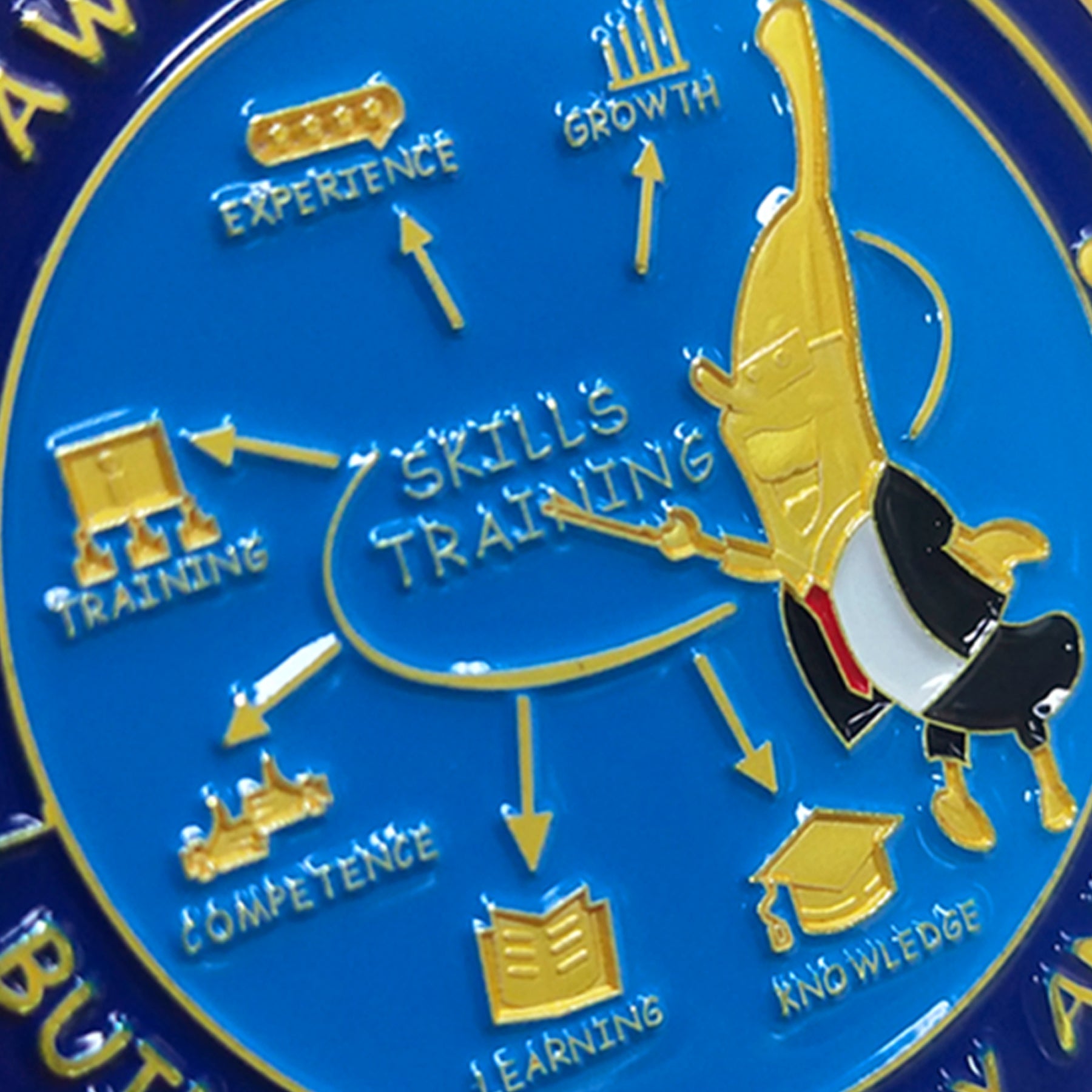 Encouragement Challenge Coin-Employee Appreciation Gifts Inspirational Thank You Coin for Students and Cowokers-Skills Teacher mysite