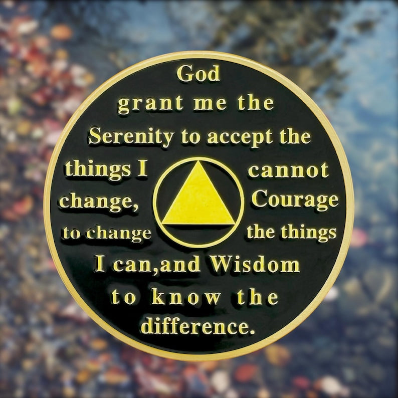 0-10 Year Artsy Oil Painting Recovery Addiction Tree of Life Sobriety Coin mysite