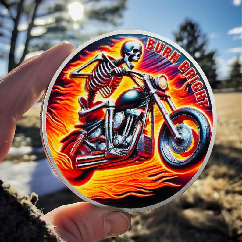 Rising from The Ashes Riding Freedom Skull Sobriety Coin mysite