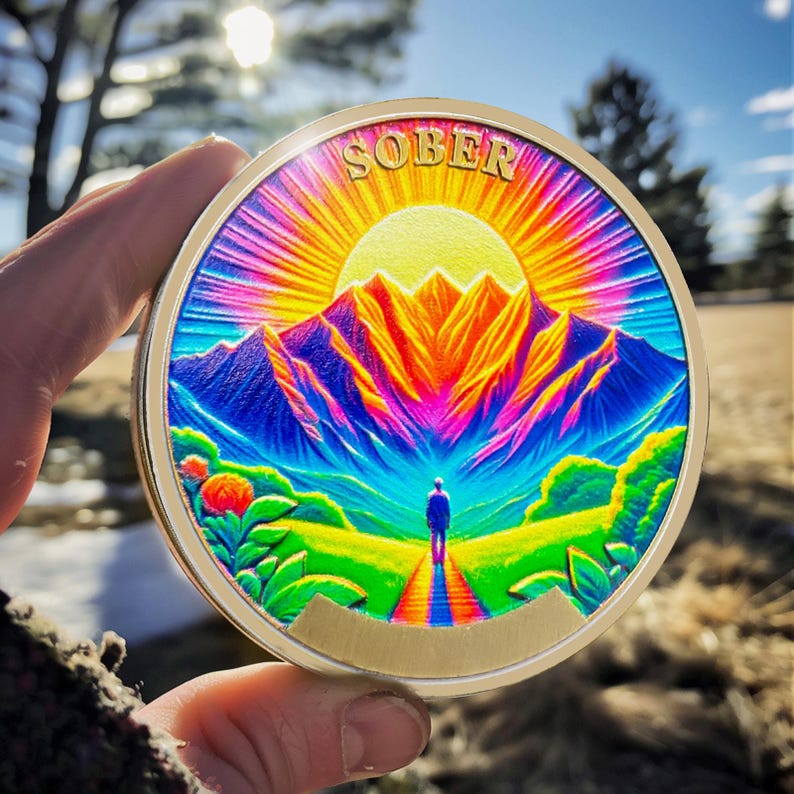 1-12 Months Recovery Addiction Celebrate Living Clean Sobriety Coin mysite