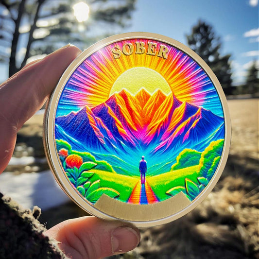 1-12 Months Recovery Addiction Celebrate Living Clean Sobriety Coin mysite