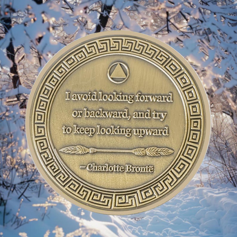 1-12 Months Recovery Addiction Celebrate Living Clean Sobriety Coin mysite