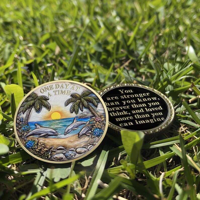 Recovery Addiction Sunset Beach Freedom Dolphins Sobriety Coin mysite