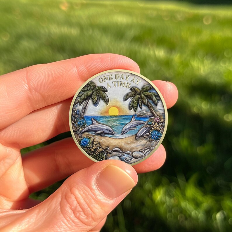 Recovery Addiction Sunset Beach Freedom Dolphins Sobriety Coin mysite