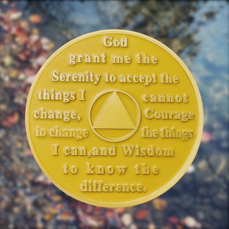 Fairy House Sobriety Coin mysite