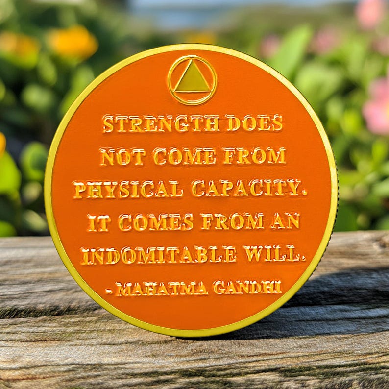 Original Hiking  One Day at A Time Sobriety Coin mysite
