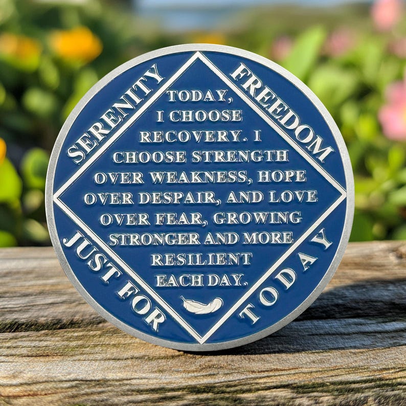 Personalized Addiction Recovery Braving The Storm Sobriety Coin mysite