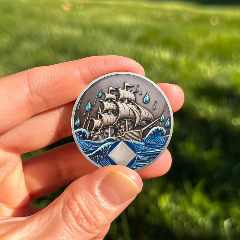 Personalized Addiction Recovery Braving The Storm Sobriety Coin mysite