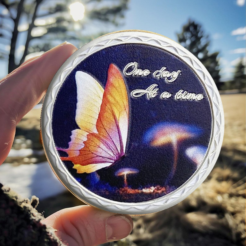 Butterfly Serenity Prayer Chips Addiction Sobriety Coin mysite