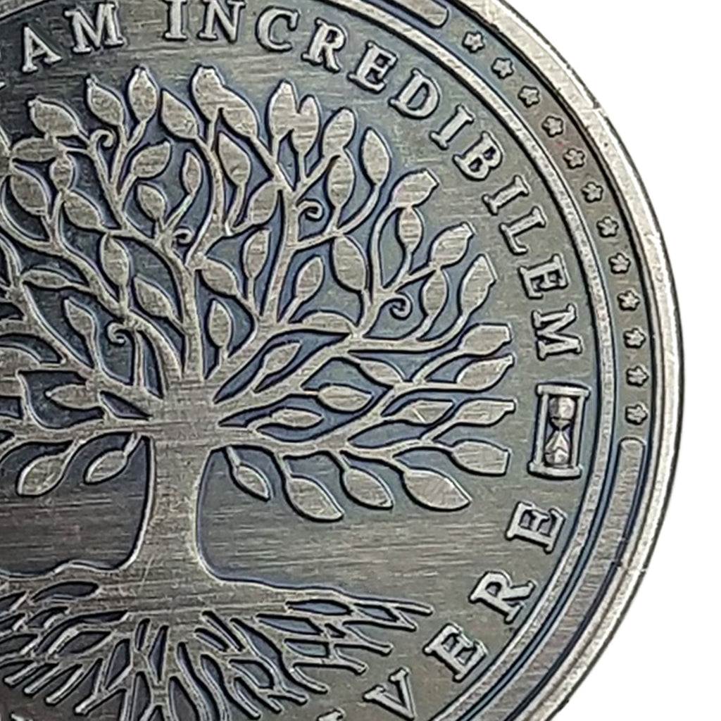 Tempus Fugit Memento Mori Fac Vitam Incredibilem Memento Vivere Challenge Coin mysite