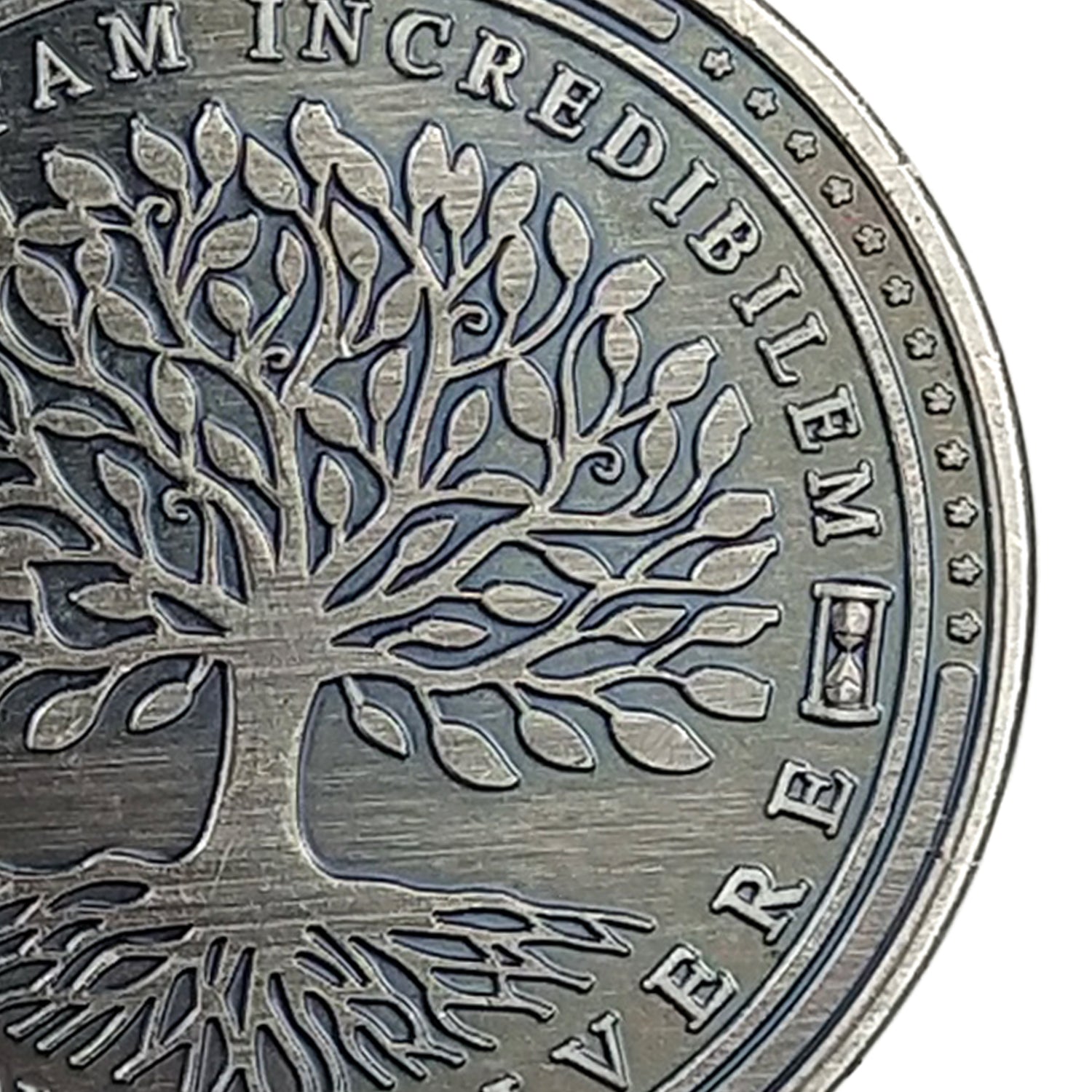 Tempus Fugit Memento Mori Fac Vitam Incredibilem Memento Vivere Challenge Coin mysite