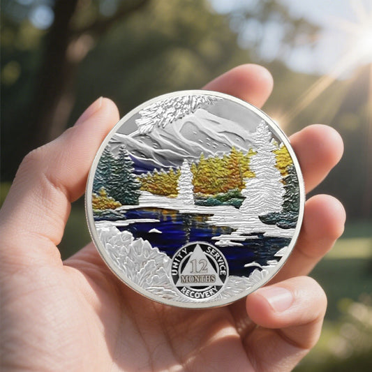 1-12 Month Recovery Seasonal Landscapes Sobriety Coins mysite