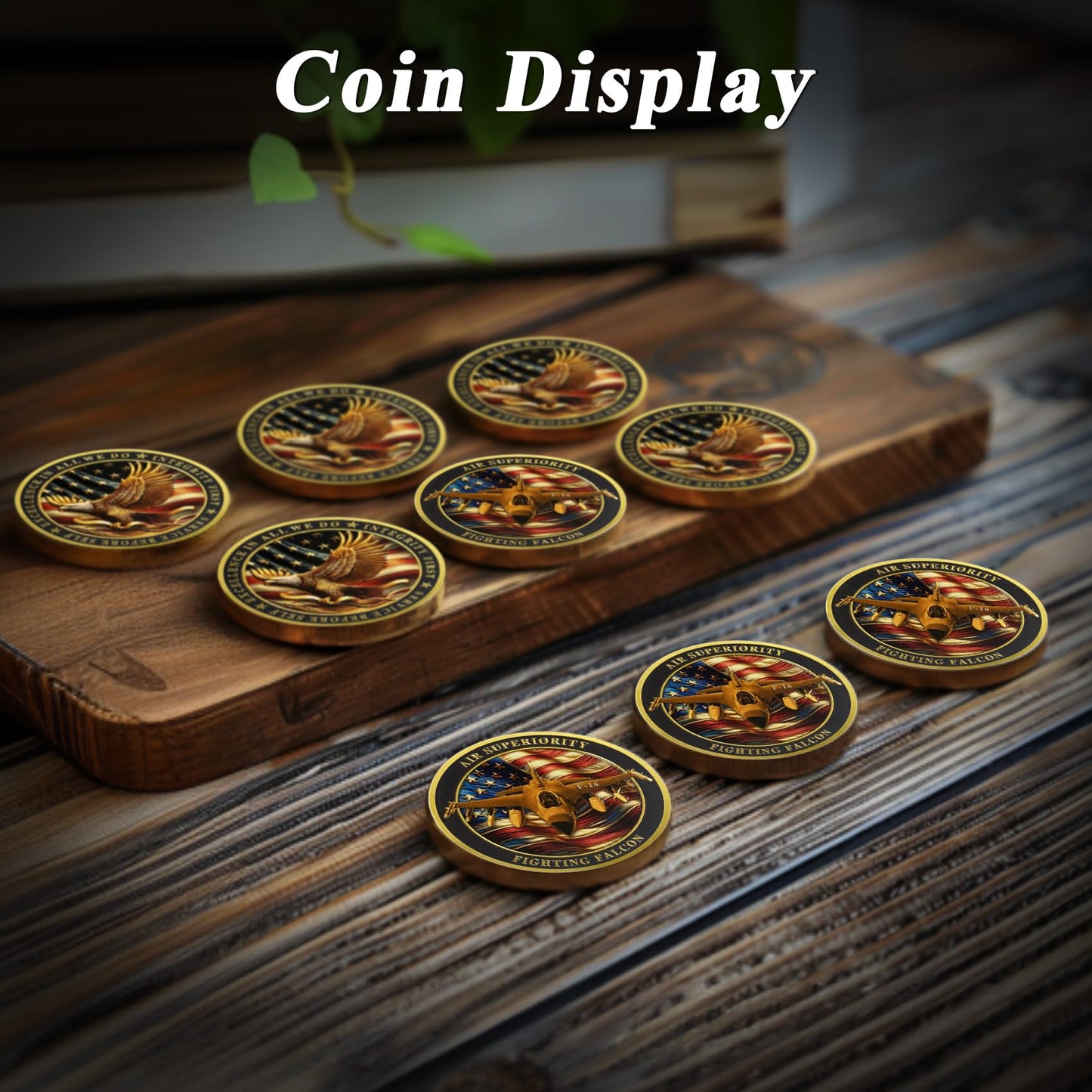 United States Air Force F-16 Fighting Falcon Military Coins Challenge Coin mysite