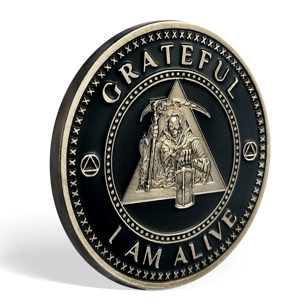 AA Medallion Recovery Grateful I Am Alive Sobriety Coin mysite