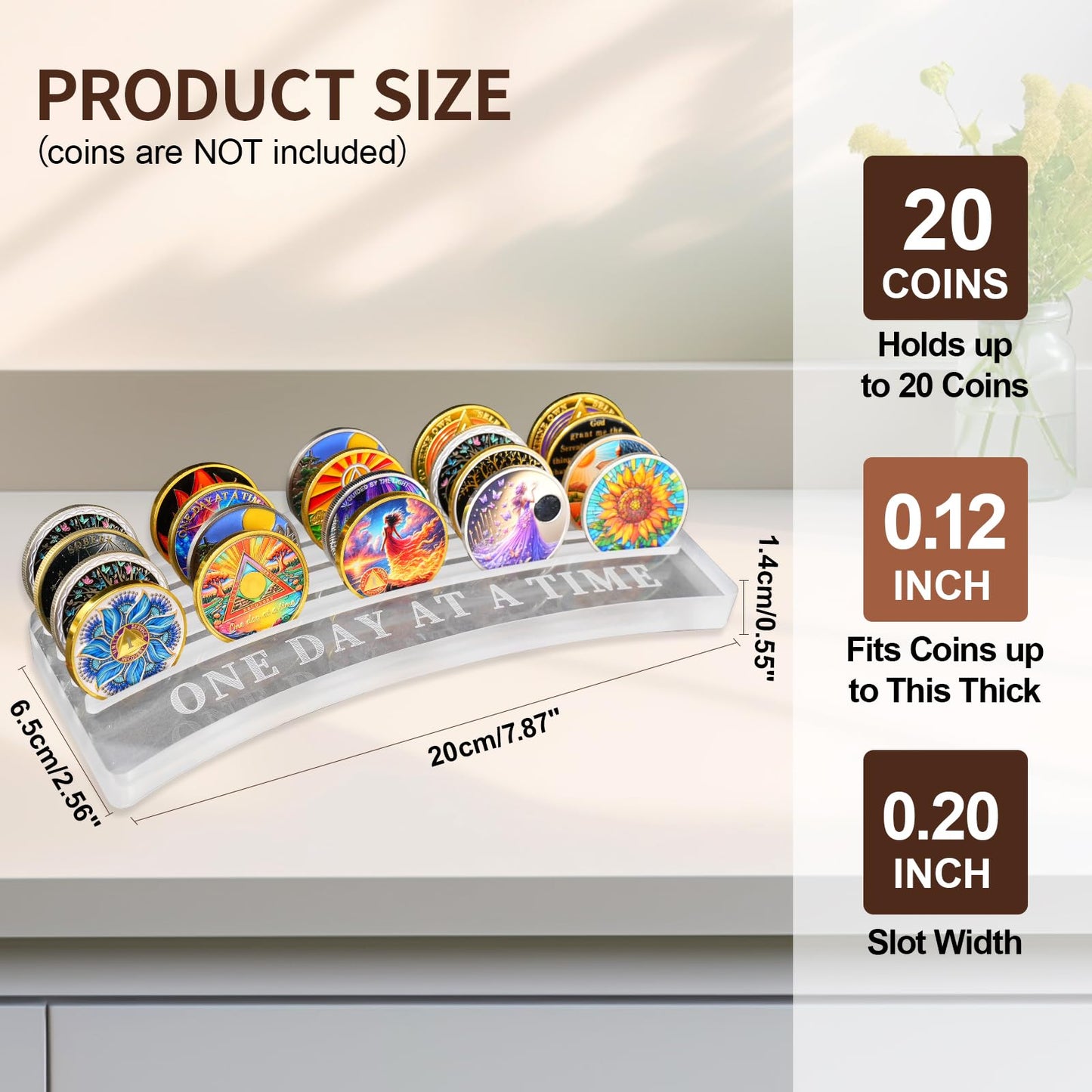 One Day at A Time Sobriety Coin Holder Display Case Holds 20 Sober Recovery Chip mysite