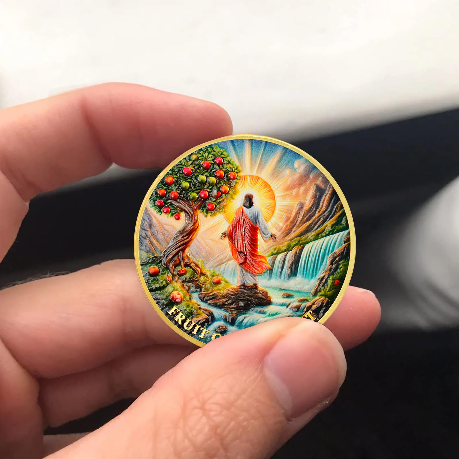 Fruit of The Spirit Christian Challenge Coin mysite