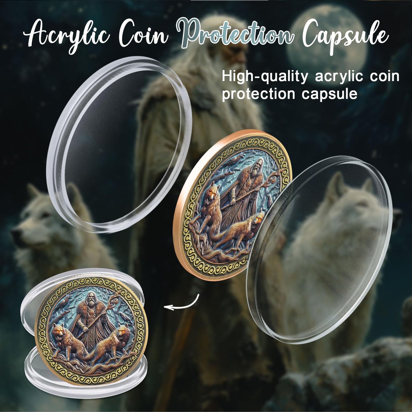 Viking Odin  Longship Coin mysite