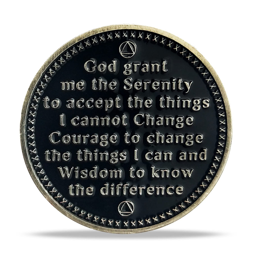 AA Medallion Recovery Grateful I Am Alive Sobriety Coin mysite
