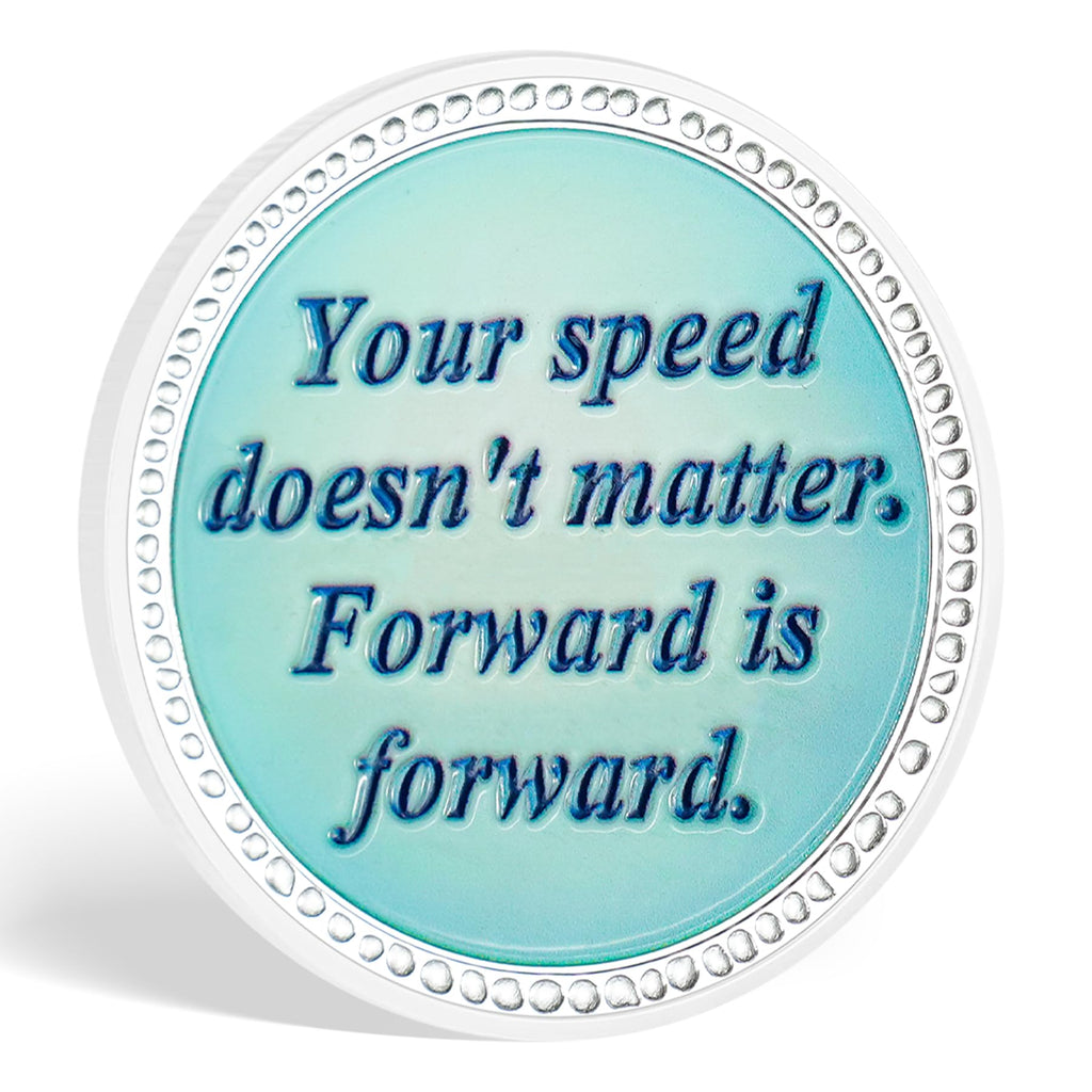 Inspirational Sobriety Coin with 3D Turtle mysite