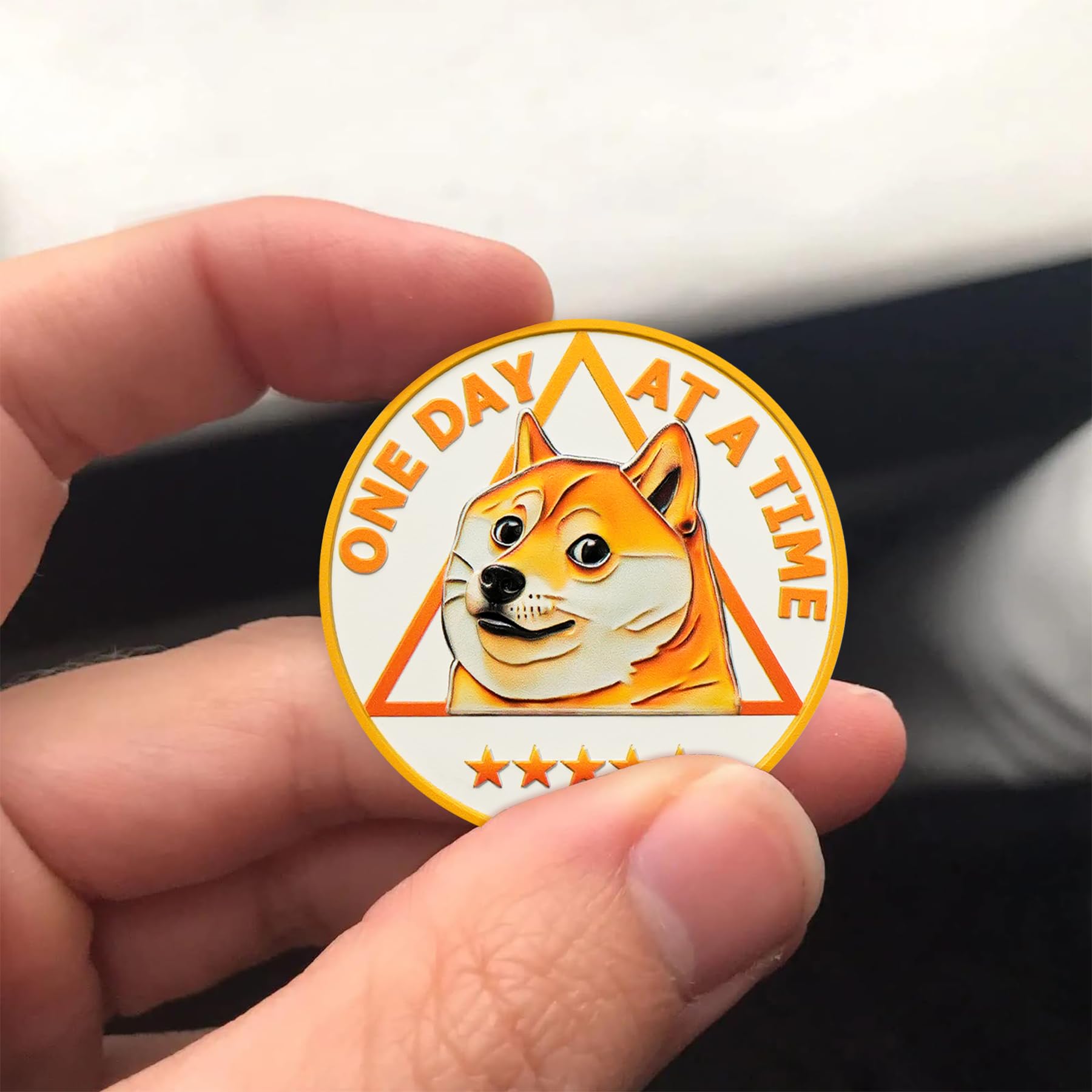 Funny Dog Meme & Triangle Symbol Doge Sobriety Coin mysite