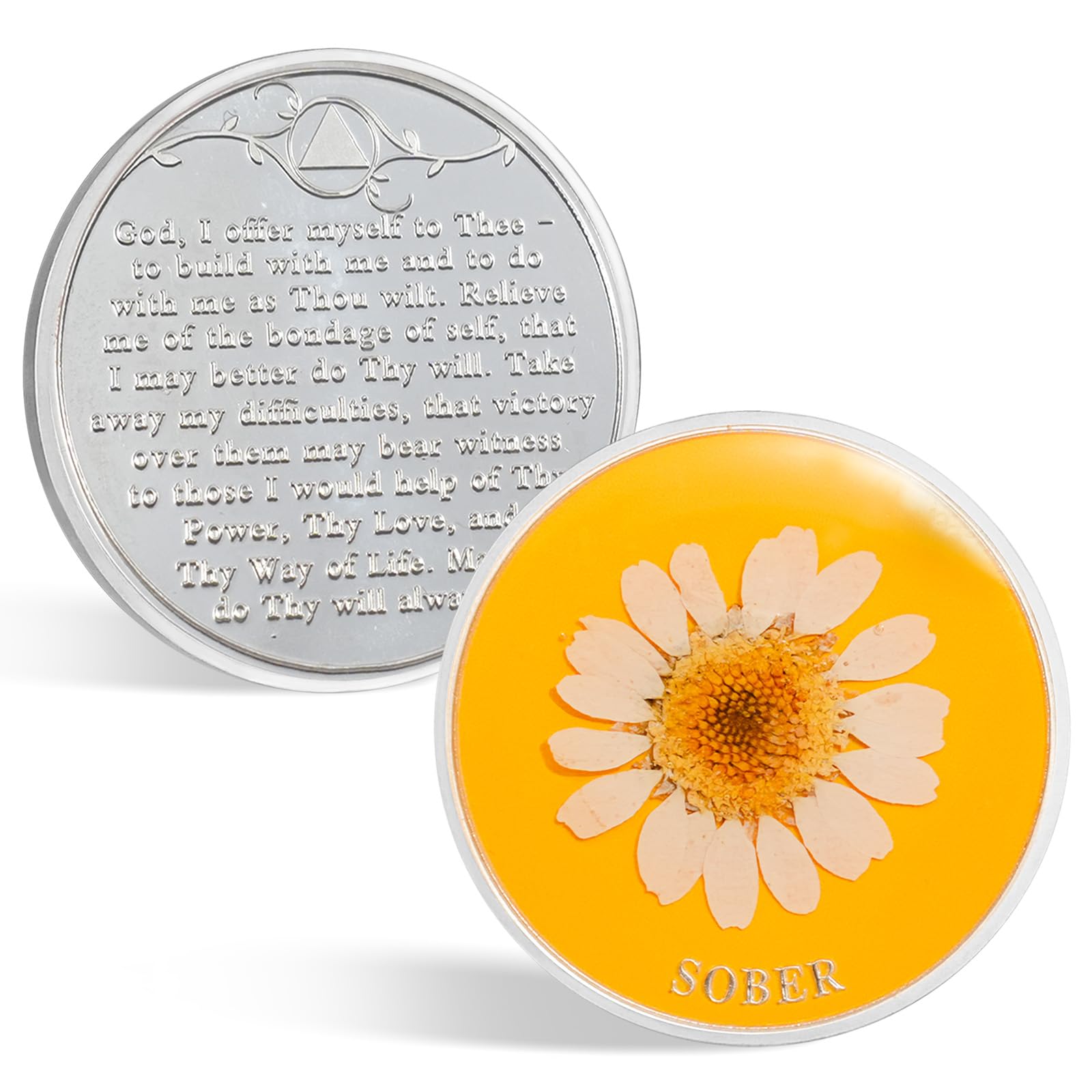 Real Dried Pressed Flowers Handmade Daisy Resin Sobriety Coin mysite