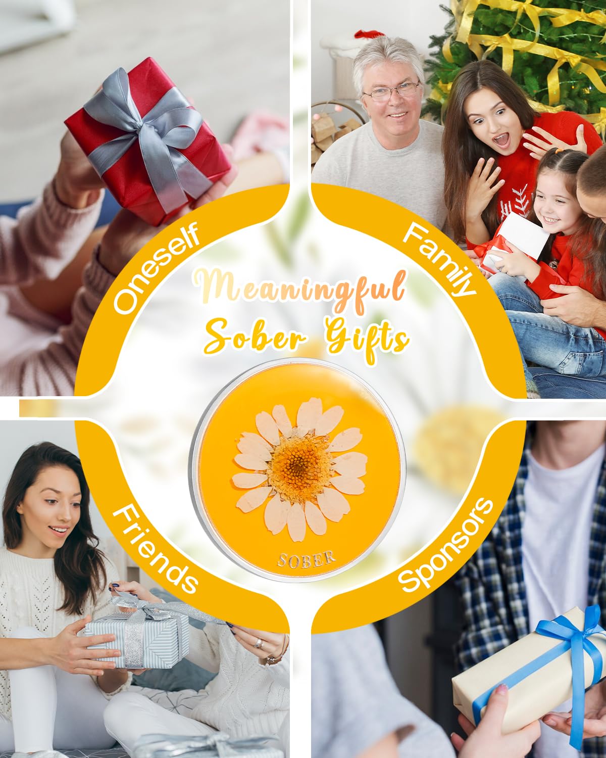 Real Dried Pressed Flowers Handmade Daisy Resin Sobriety Coin mysite