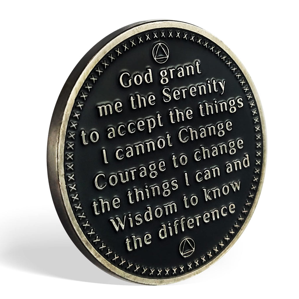 AA Medallion Recovery Grateful I Am Alive Sobriety Coin mysite