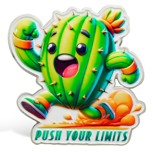 Push Your Limits Motivational Funny Fridge Magnets mysite