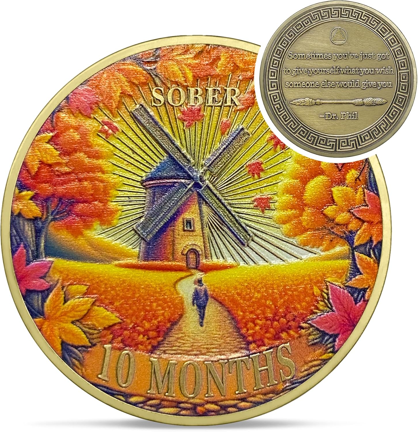 1-12 Months Recovery Addiction Celebrate Living Clean Sobriety Coin mysite