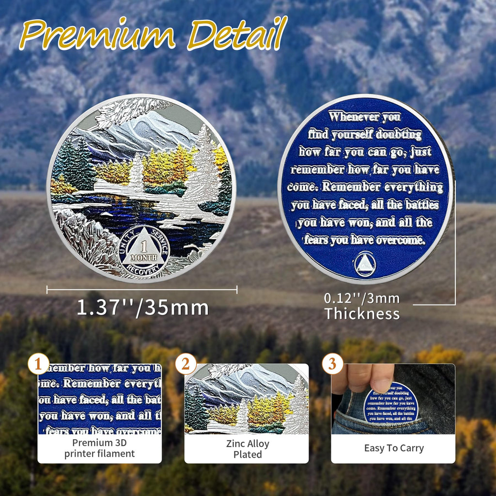 1-12 Month Recovery Seasonal Landscapes Sobriety Coins mysite