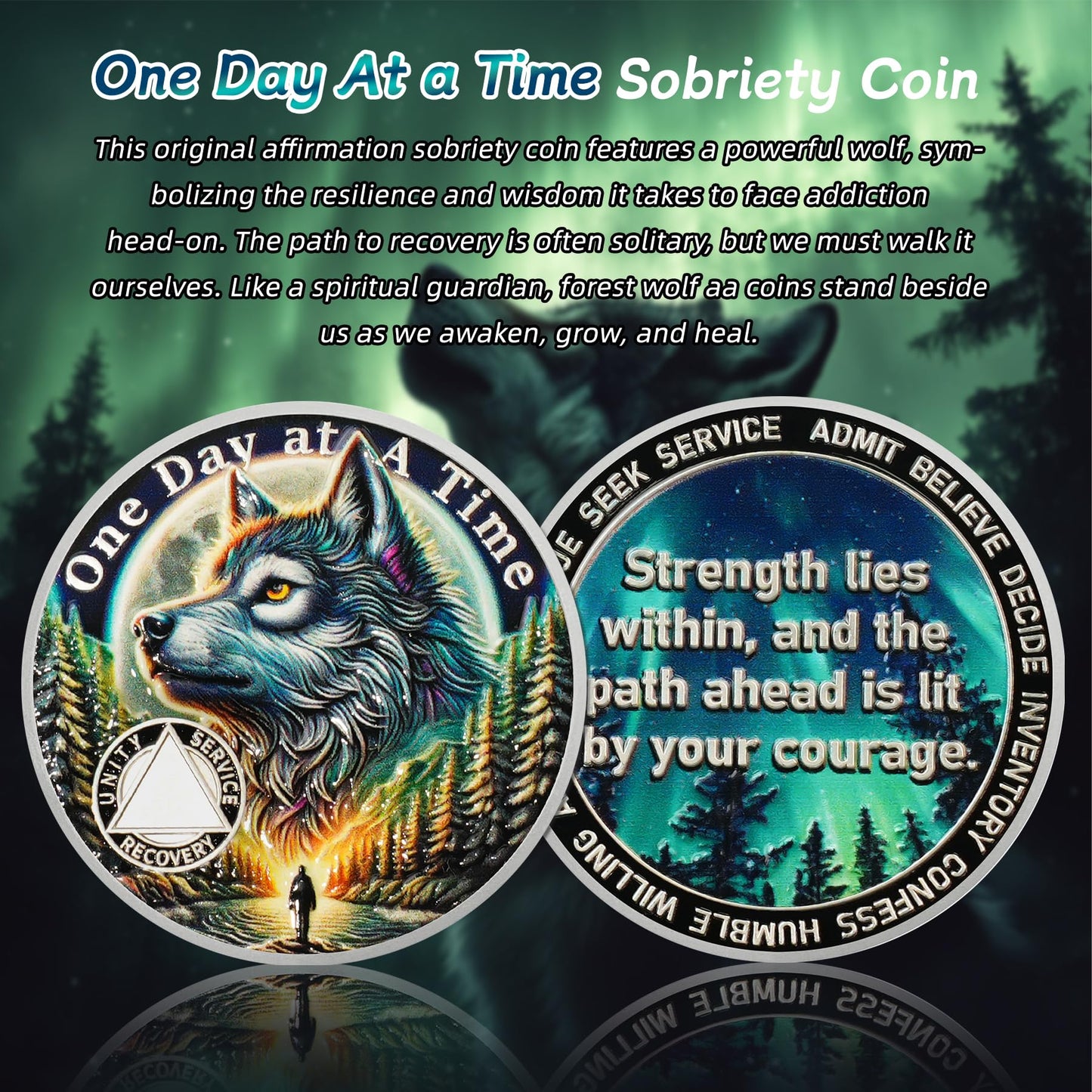 Personalized Recovery Triangle Forest Wolf One Day at a Time Sobriety Coin mysite