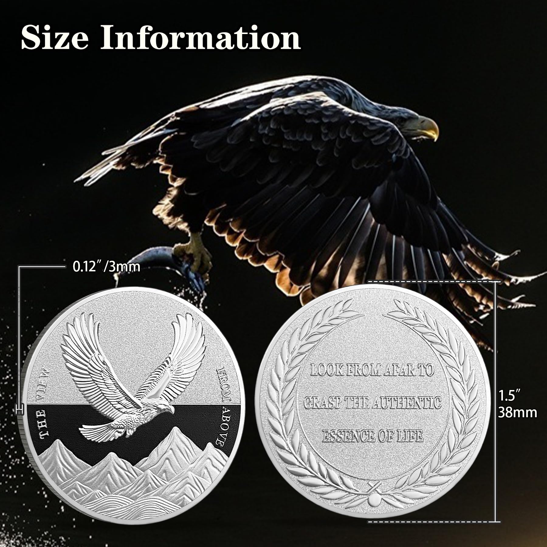 The View from Above Eagle Inspiring Challenge Coin mysite