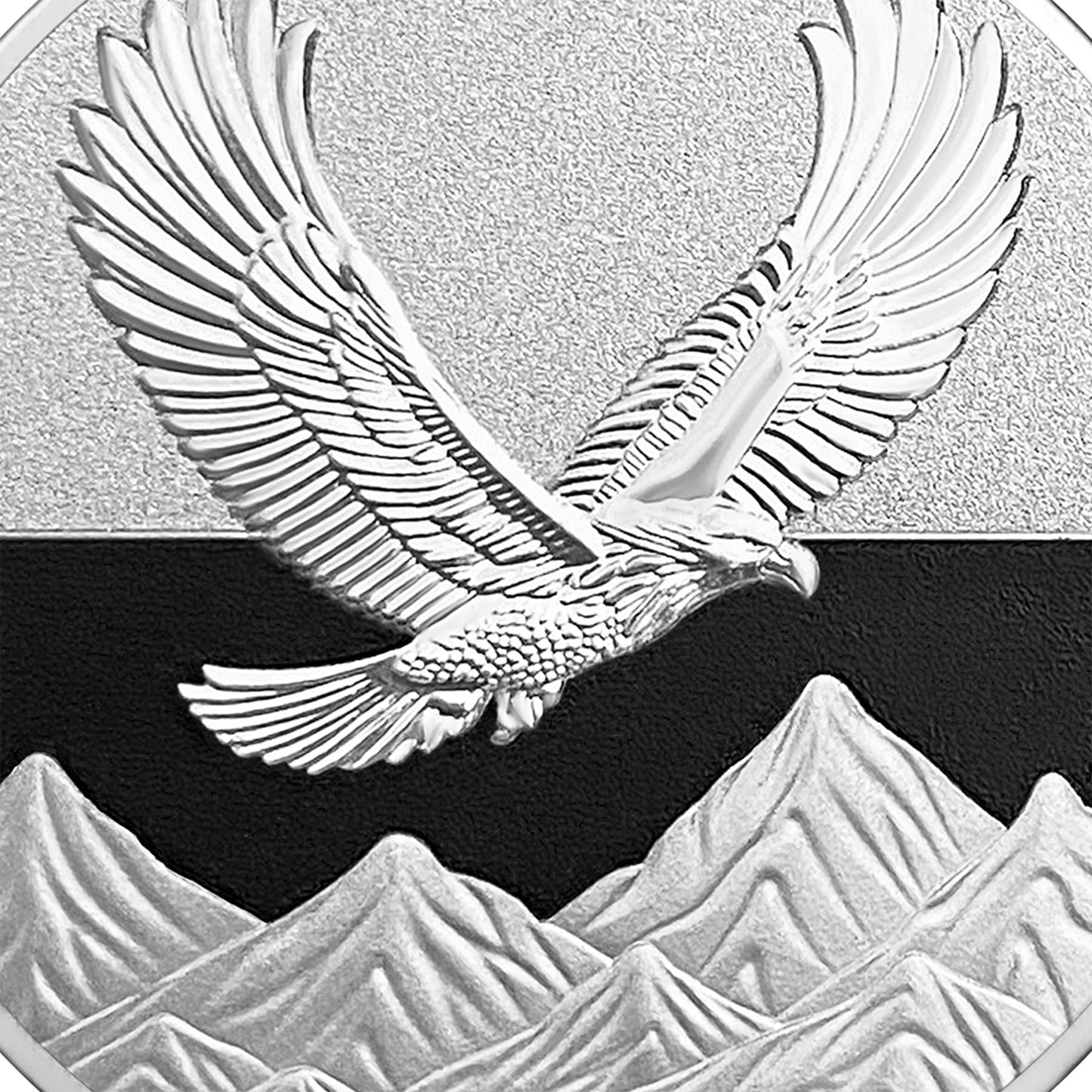 Stoics Eagle Challenge Coin mysite