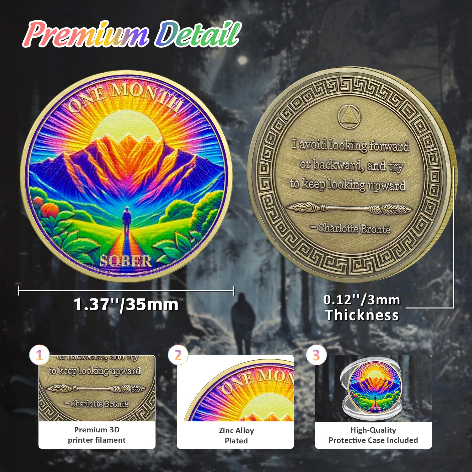 1-12 Months Recovery Addiction Celebrate Living Clean Sobriety Coin mysite