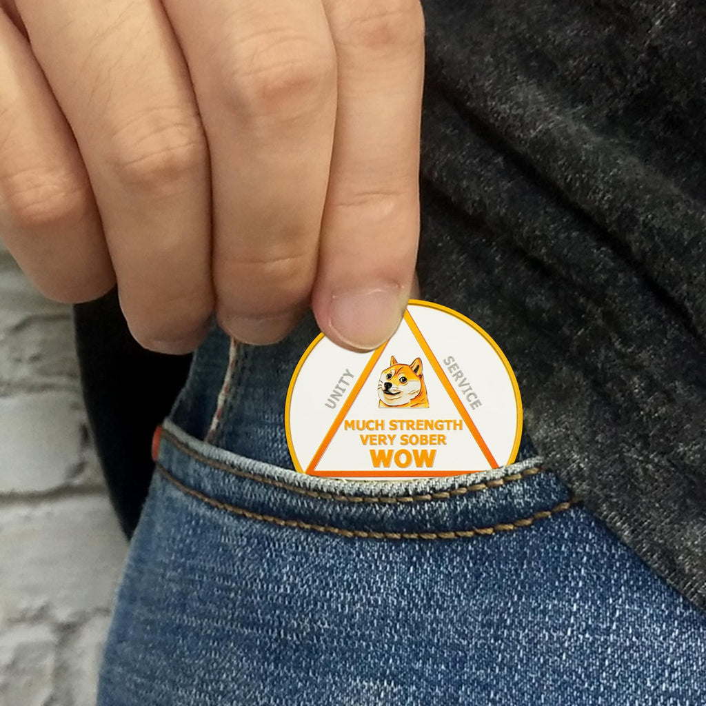 Funny Dog Meme & Triangle Symbol Doge Sobriety Coin mysite