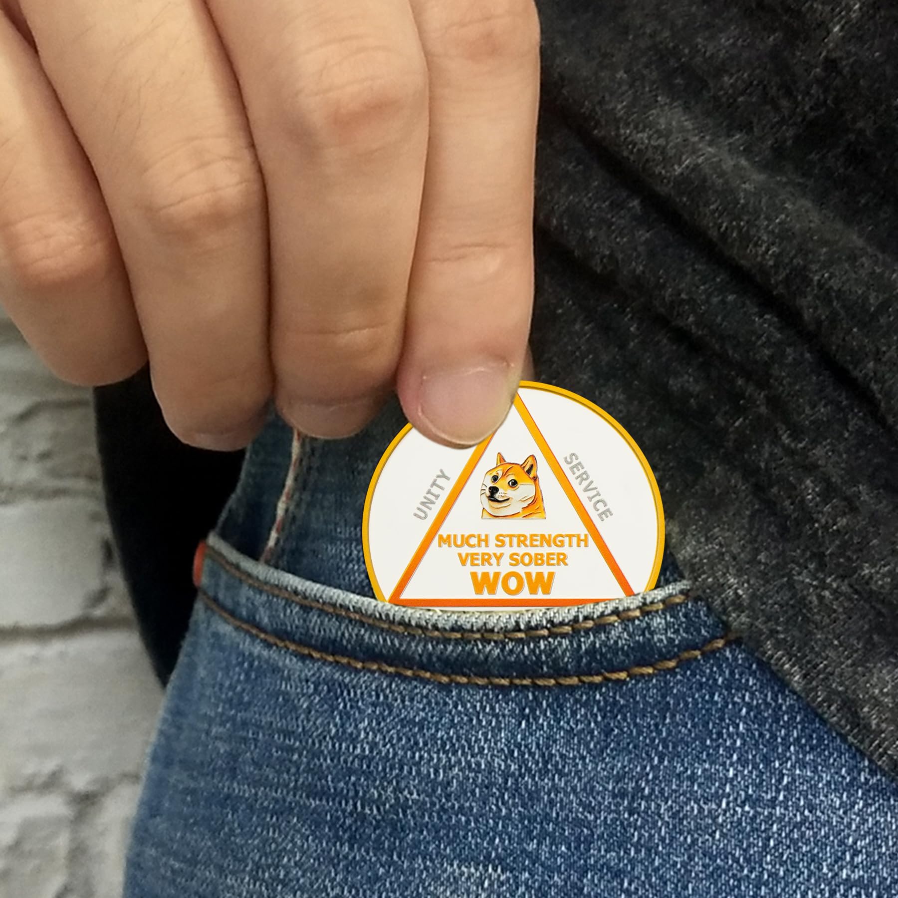 Funny Dog Meme & Triangle Symbol Doge Sobriety Coin mysite