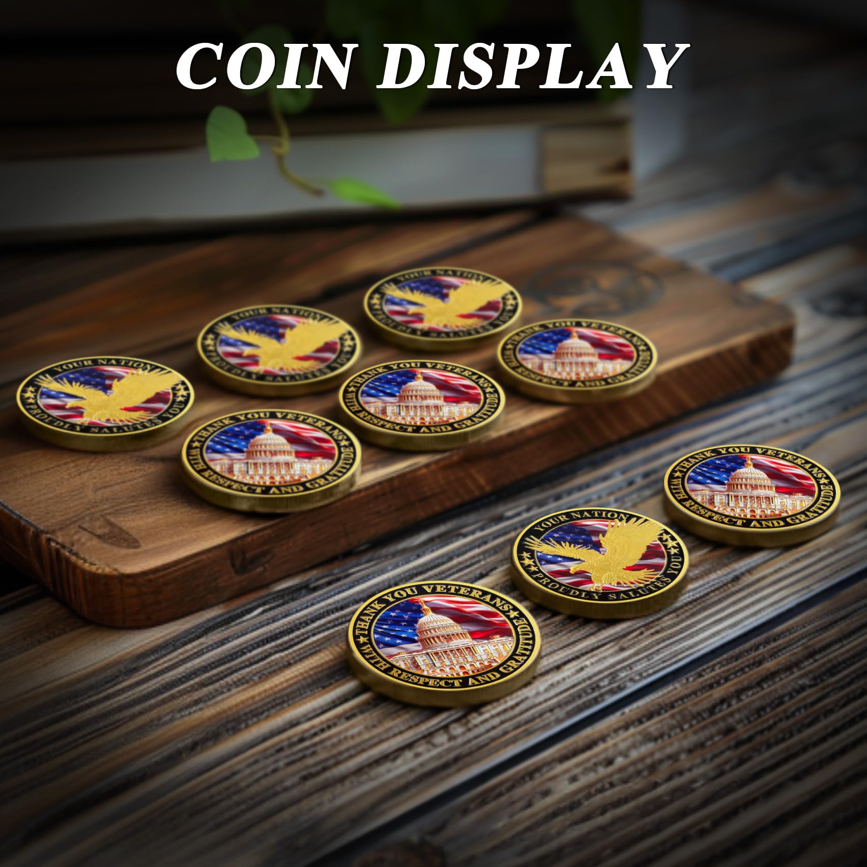 Nation's Gratitude Thank You Veterans Commemorative Challenge Coin mysite