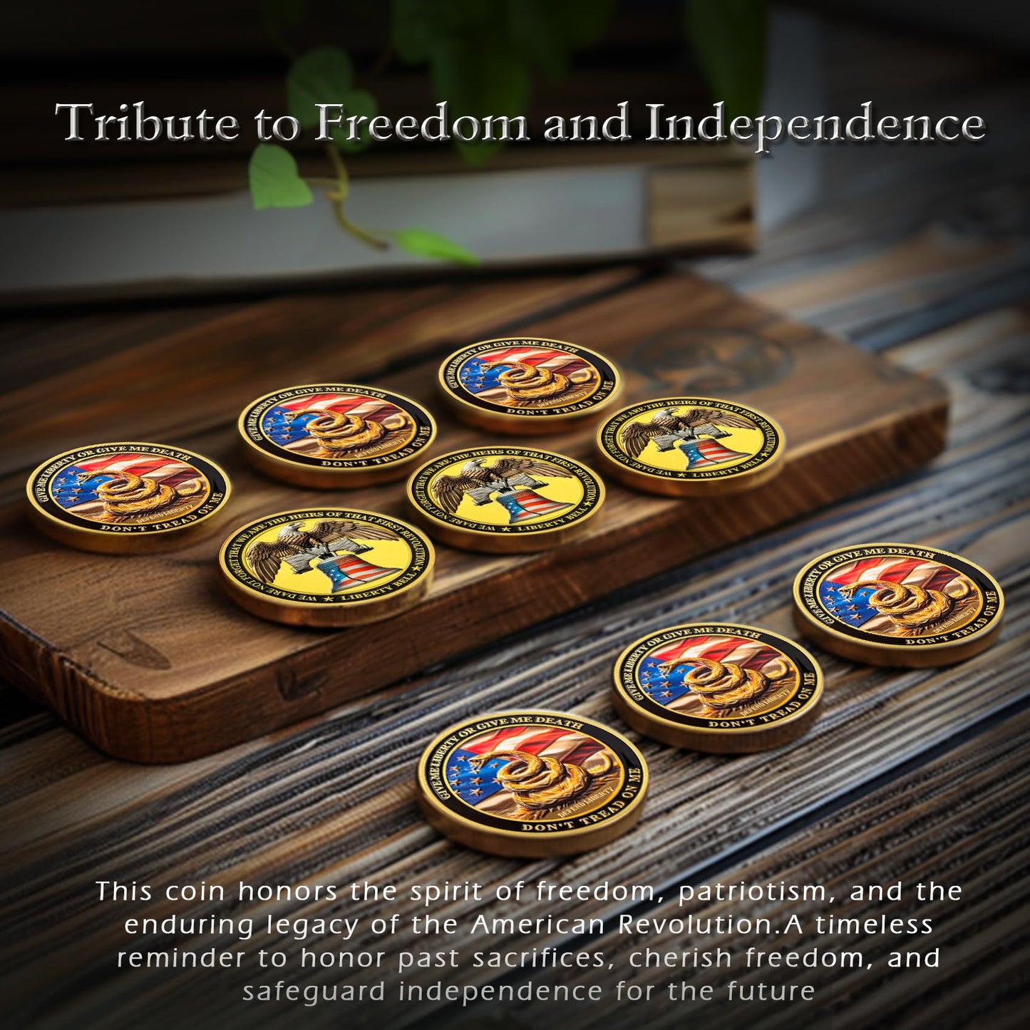 United States Liberty and Independence Veterans Challenge Coin mysite