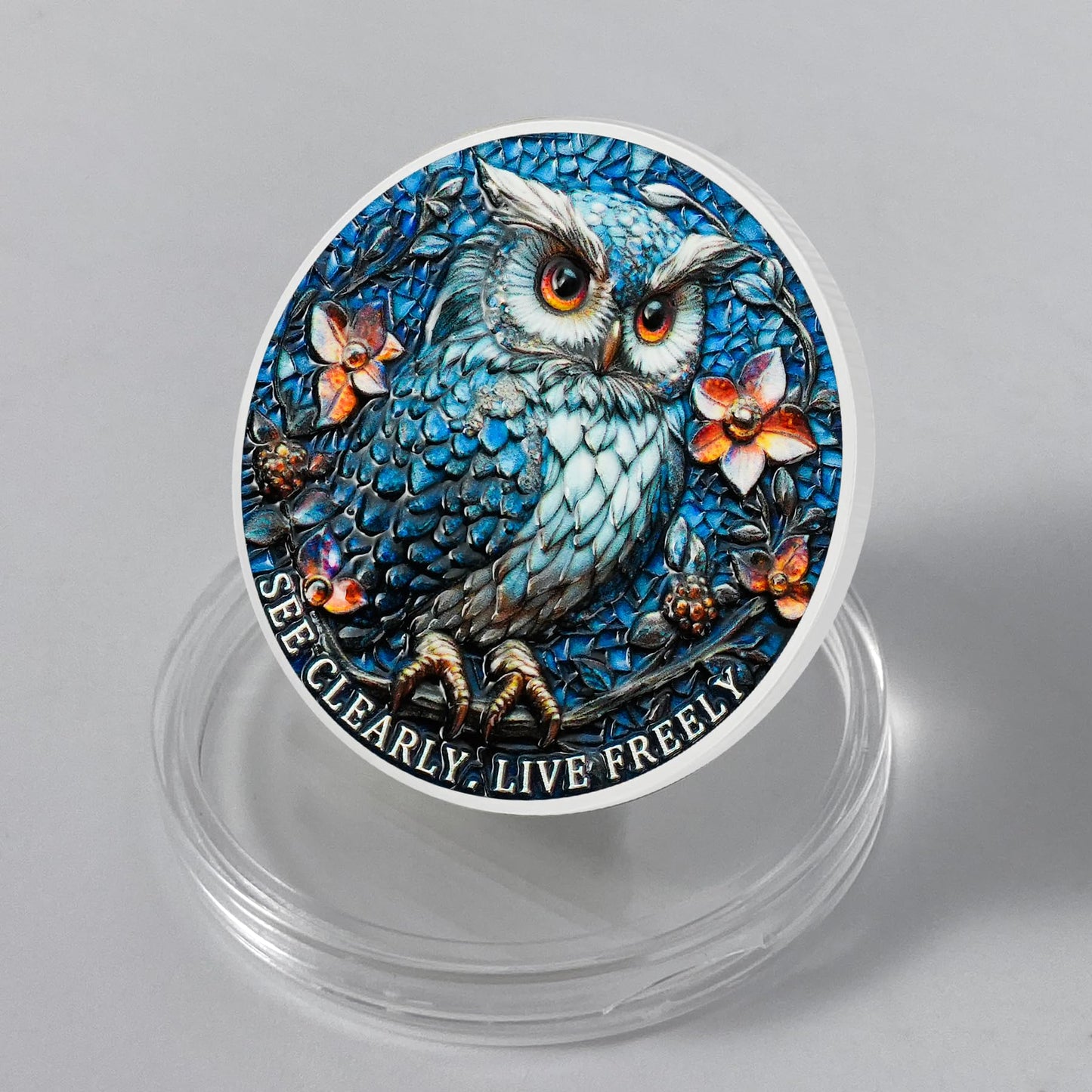 Owl & Triangular Symbol See Clearly Sobriety Coin mysite