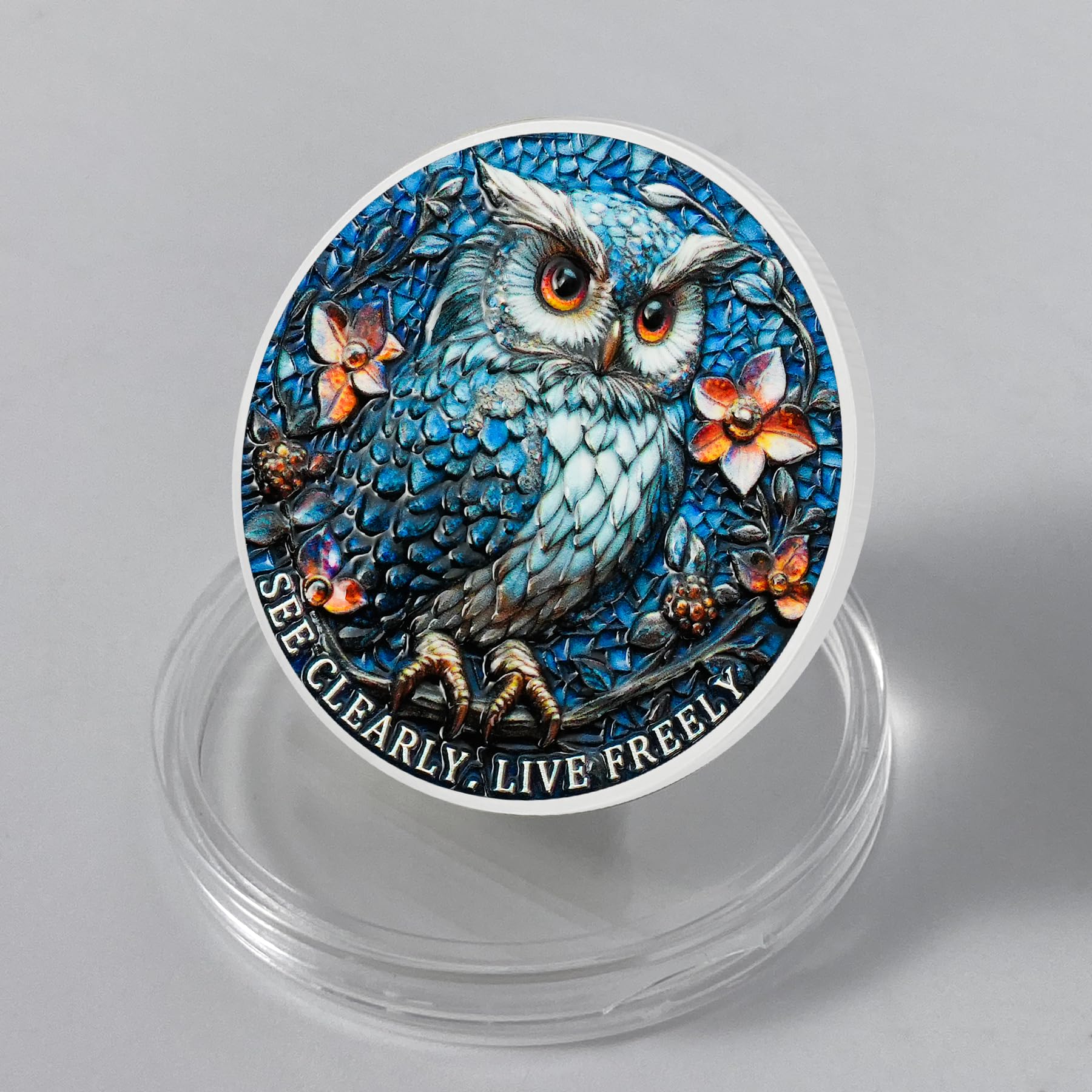Owl & Triangular Symbol See Clearly Sobriety Coin mysite