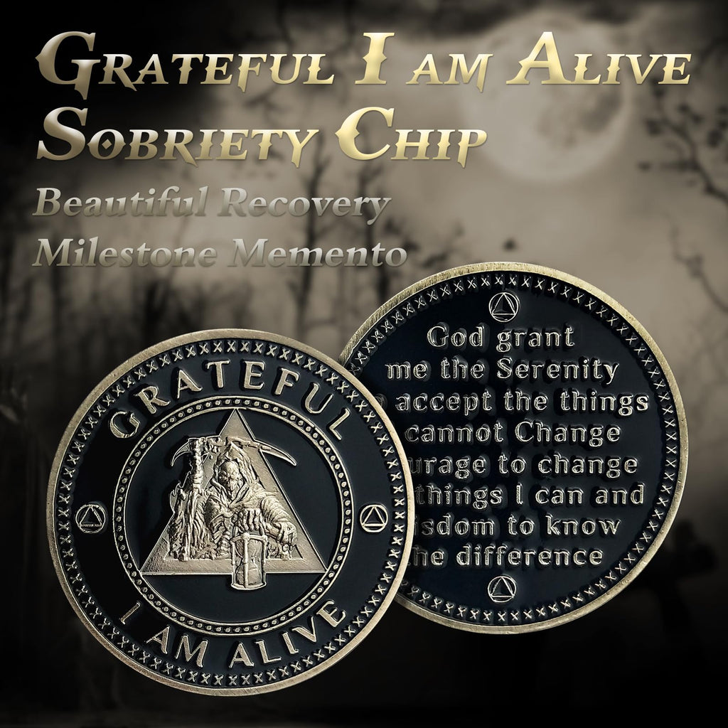 AA Medallion Recovery Grateful I Am Alive Sobriety Coin mysite
