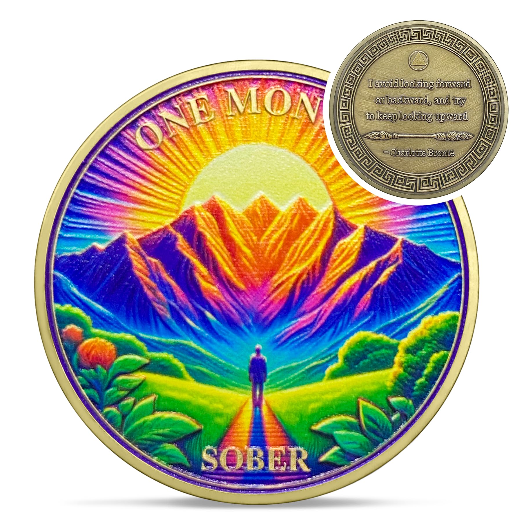 1-12 Months Recovery Addiction Celebrate Living Clean Sobriety Coin mysite