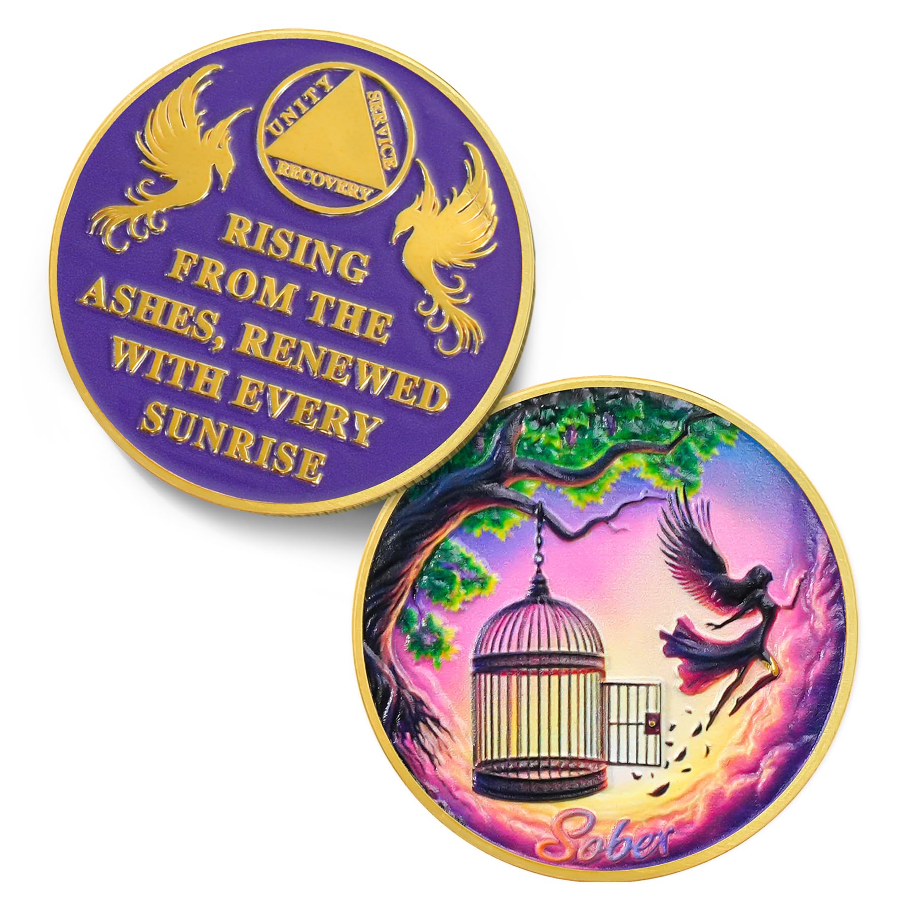 Break Free Rising from The Ashes Phoenix Original Sobriety Coin mysite