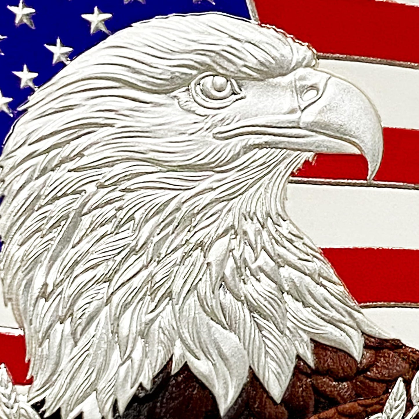 Eagle and Flag Military Veterans Patriotic Challenge Coin mysite