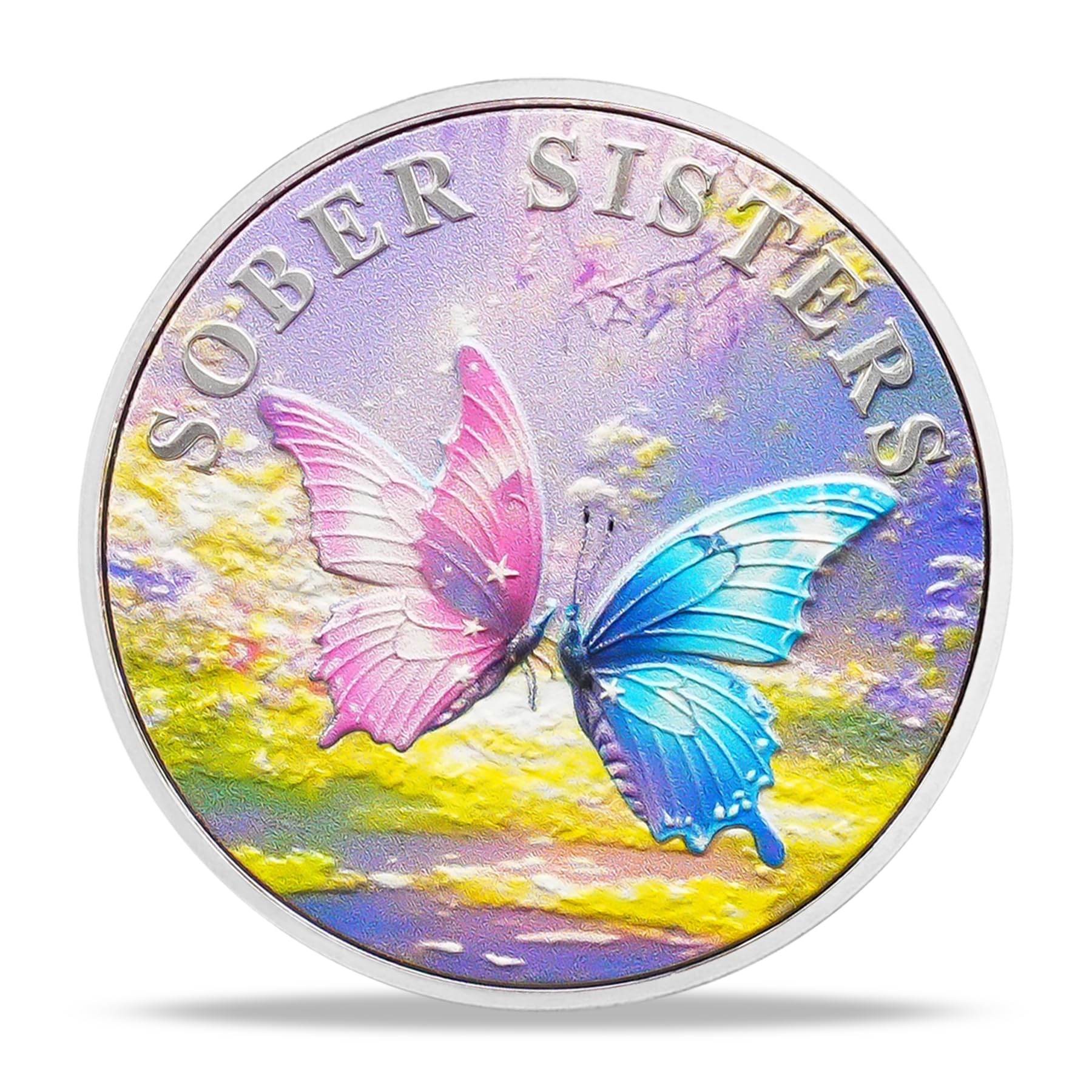 Inspirational Butterfly Recovery Token with Serenity Prayer Sobriety Coin mysite
