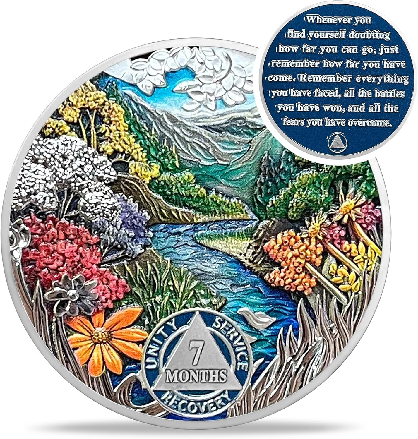 1-12 Month Recovery Seasonal Landscapes Sobriety Coins mysite