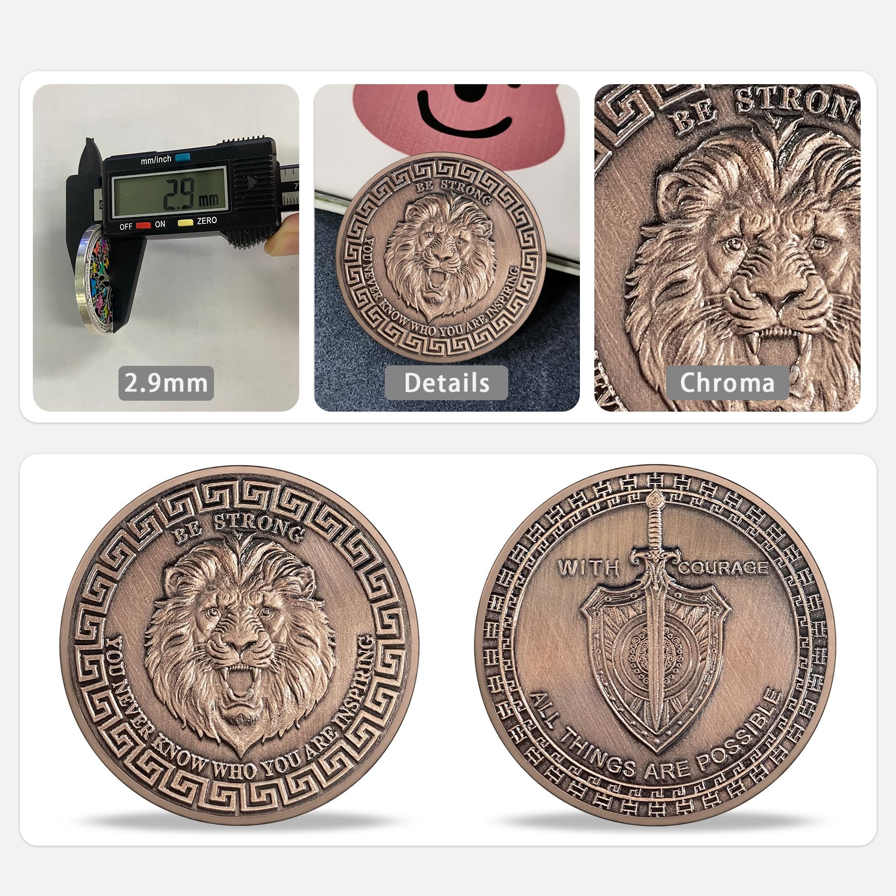 Symbol of Courage and Strength Lion Sword and Shield Challenge Coin mysite