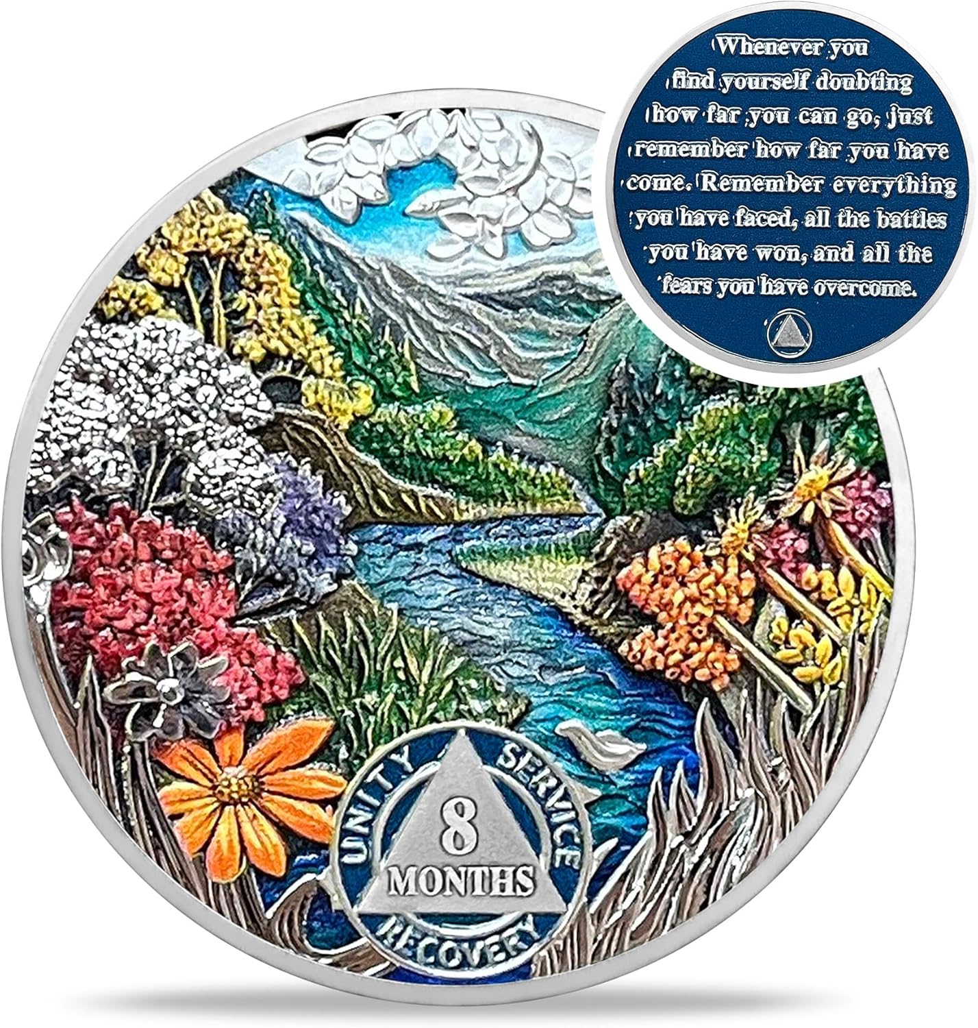 1-12 Month Recovery Seasonal Landscapes Sobriety Coins mysite